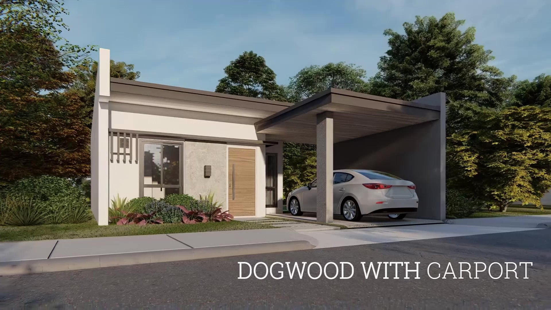 Dogwood - Plaridel Heights